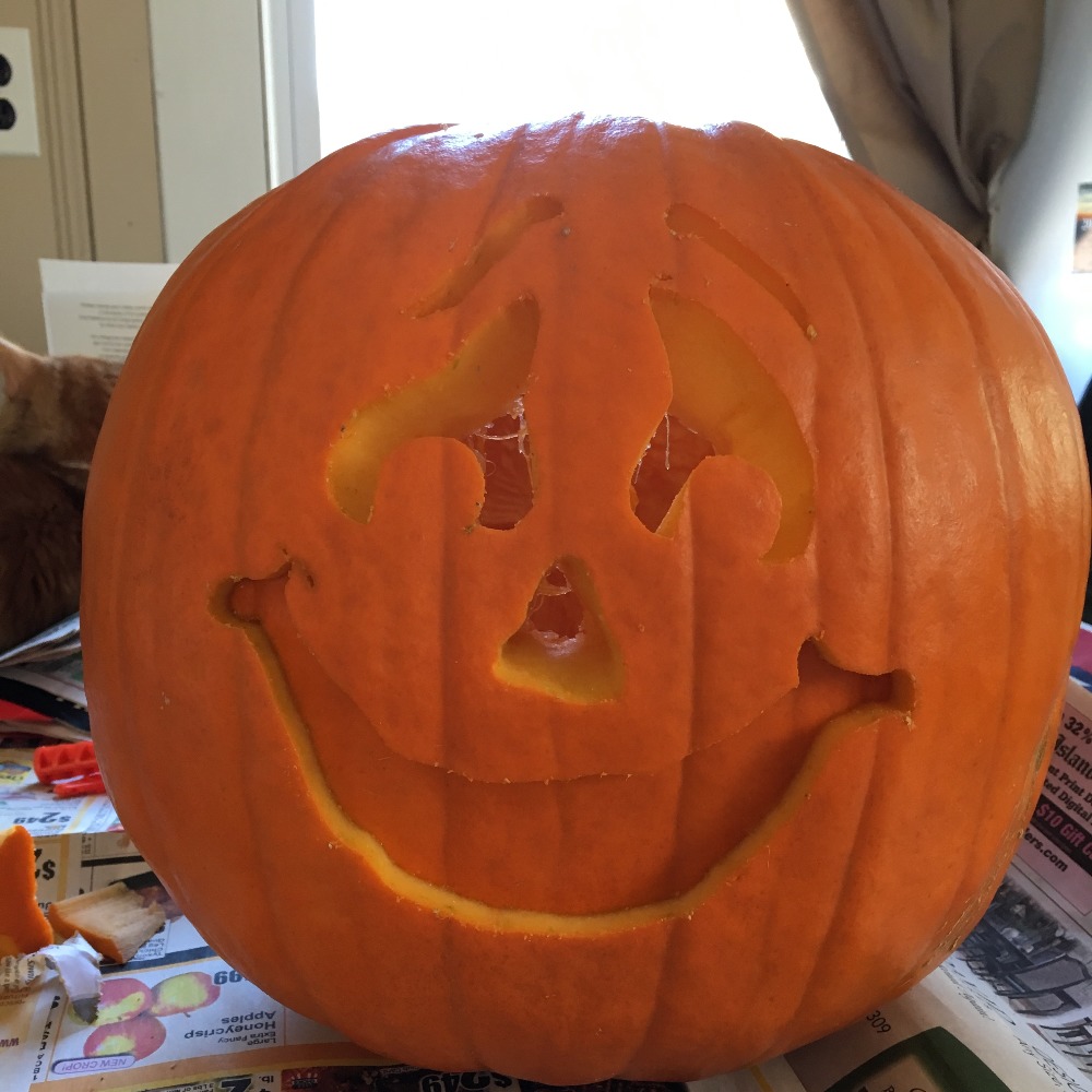 Meet your Posher, Elvisa